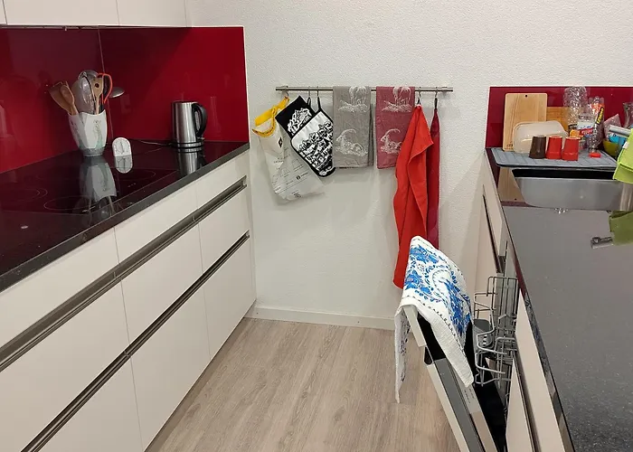 Halden انترواسر